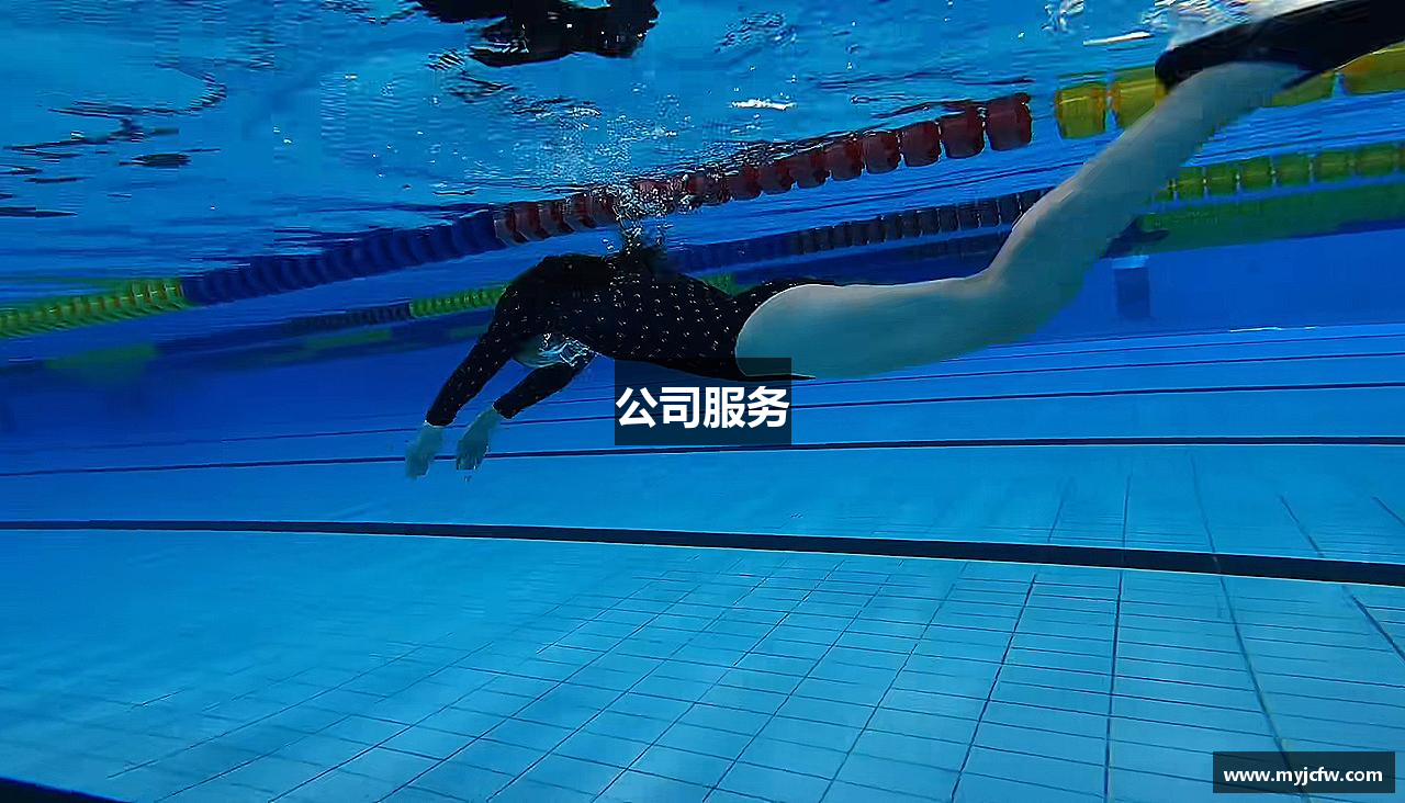 公司服务